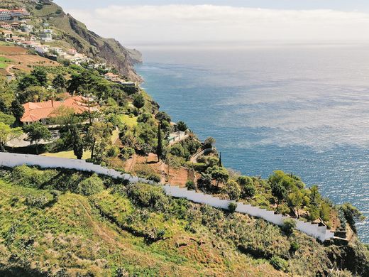 独立式房屋  Funchal, Região Autónoma da Madeira