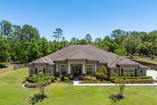 Detached House in Wesley Chapel, Pasco County