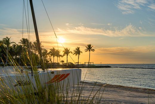 Dom jednorodzinny w Islamorada, Monroe County