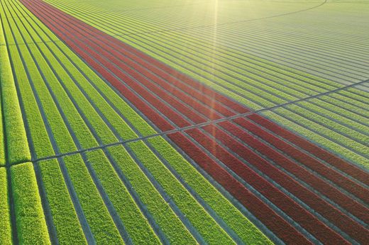 Landhuis in La Pryor, Zavala County