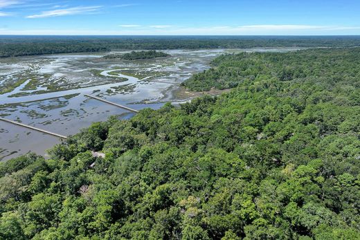 Arsa Seabrook, Beaufort County