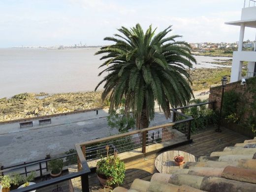 Apartament w Montevideo, Municipio B