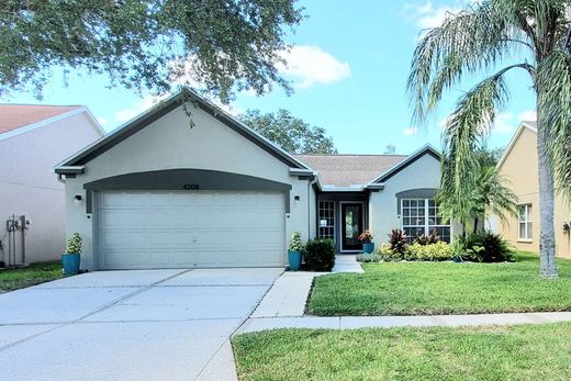 Detached House in Lutz, Hillsborough County