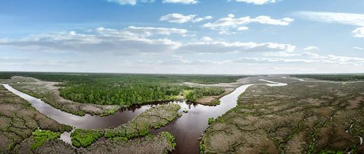 Terrain à Brunswick, Comté de Glynn