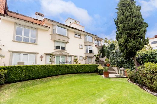 Mexico City, Ciudad de Méxicoのアパートメント