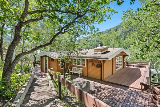 Detached House in Aspen, Pitkin County