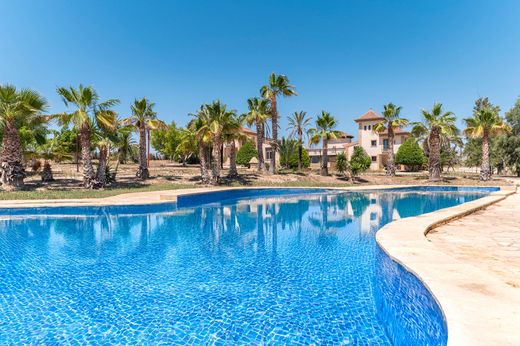 Detached House in Alicante, Valencia