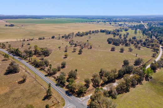 Land in Morriston, Levy County