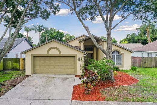 Luxus-Haus in Brandon, Hillsborough County