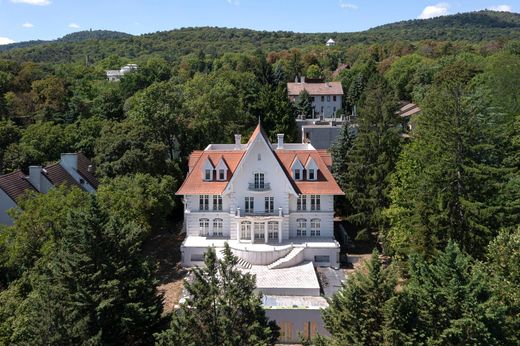 Villa in Budapest