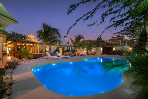 Luxury home in Noord