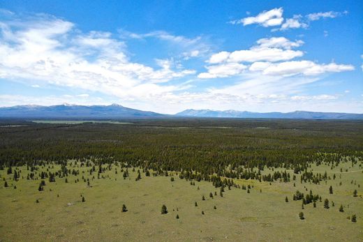 Land in Island Park, Fremont County