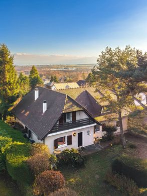 独立式房屋  Divonne-les-Bains, Ain