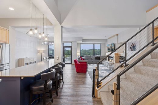 ﺷﻘﺔ ﻓﻲ Saint Paul, Ramsey County