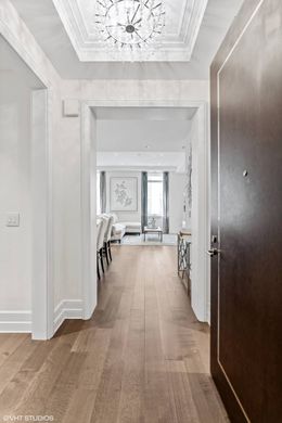 豪宅  芝加哥, Cook County