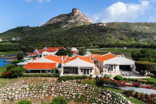 Detached House in Newport