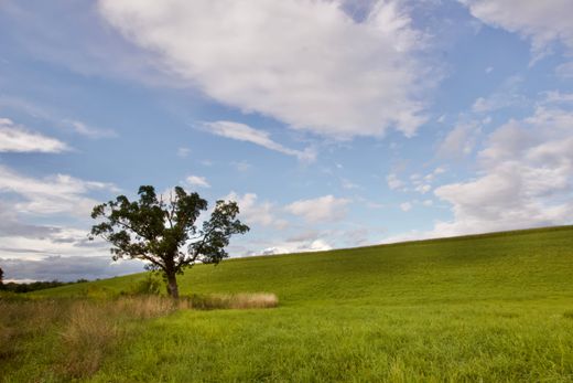 Terreno a Chatham, Columbia County