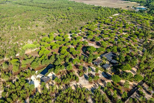 Grond in Grândola, Distrito de Setúbal