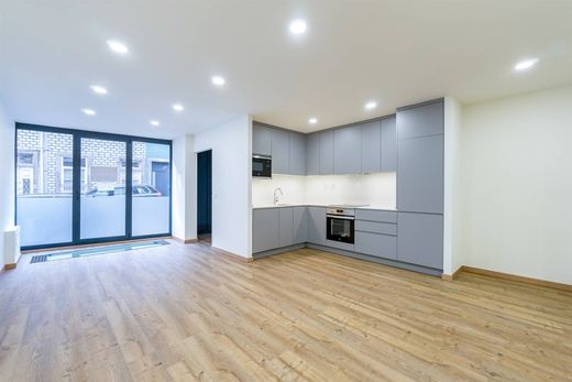 Dublex Porto, Distrito do Porto