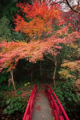 Участок, Киото, Kyōto-shi