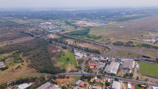 Luque, Departamento Centralの土地