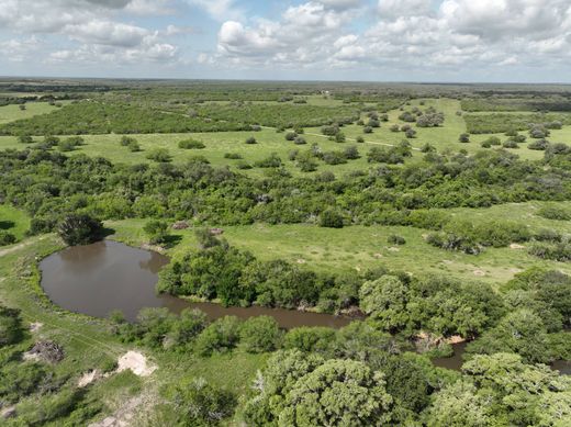 Beeville, Bee Countyのカントリーハウス