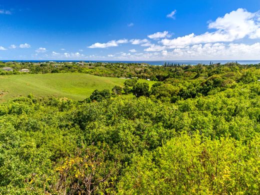 Teren w Kapa‘a, Kauai County