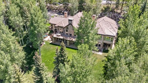 Dom jednorodzinny w Snowmass Village, Pitkin County