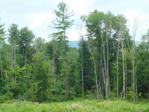 Salisbury, Litchfield Countyの土地