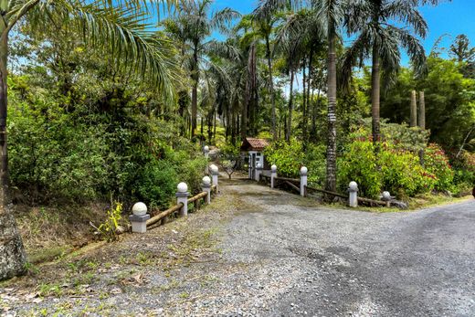 Vrijstaand huis in Pejibaye, Jiménez