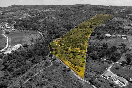 Land in Grândola, Distrito de Setúbal