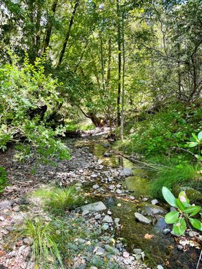 Redwood Valley, Mendocino Countyの土地