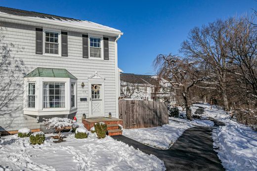 Dom miejski w Hillsborough, Somerset County