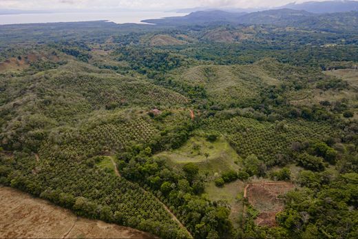 Golfito, Provincia de Puntarenasの土地