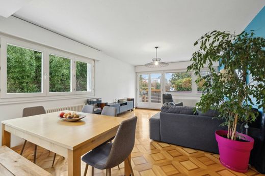 Apartment in Onex, Geneva