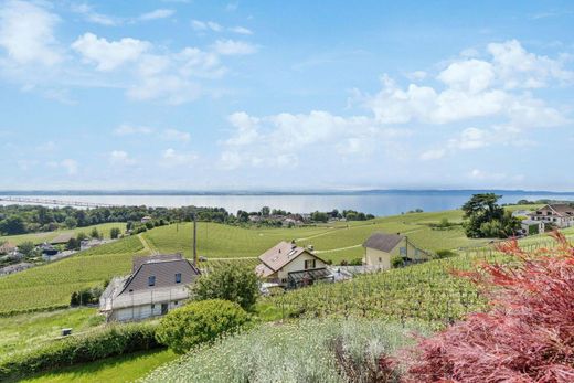Detached House in Cortaillod, Boudry District