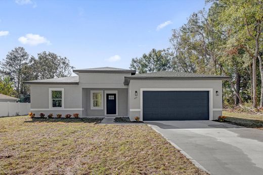 Einfamilienhaus in Ocala, Marion County