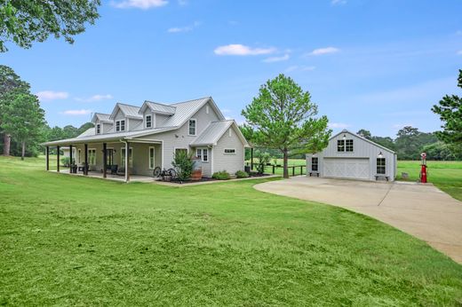 Detached House in Smithville, Bastrop County