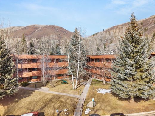 Apartment / Etagenwohnung in Aspen, Pitkin County
