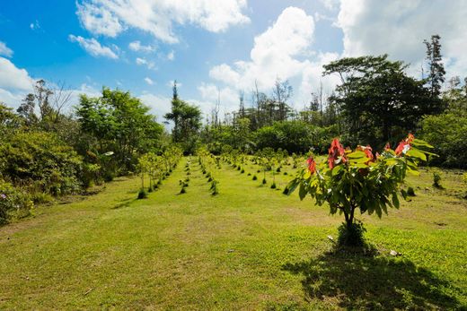 Casa de luxo - Kea‘au, Hawaii County