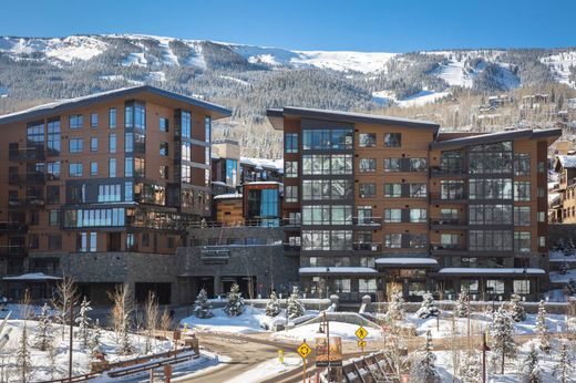 Snowmass Village, Pitkin Countyのアパートメント