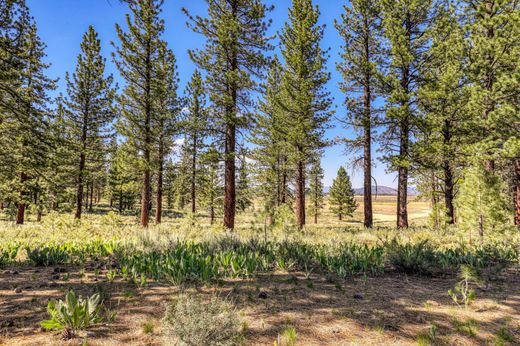 Terreno - Truckee, Nevada County