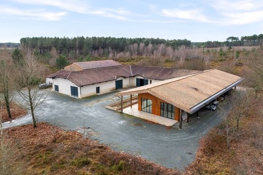 Rustykalny lub Wiejski w Bordeaux, Gironde