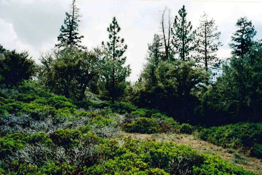 Terreno en Big Bear City, San Bernardino County