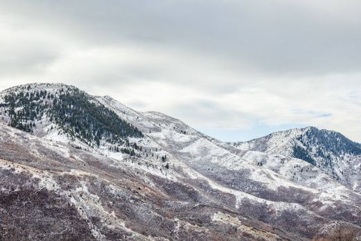 토지 / Salt Lake City, Salt Lake County