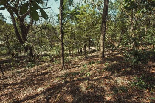 Terreno en Nosara, Nicoya
