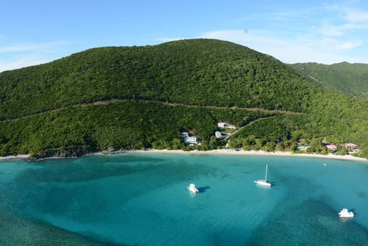 Teren w Jost Van Dyke Island
