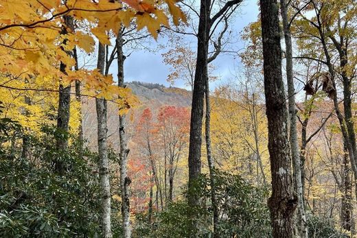 Αγροτεμάχιο σε Cashiers, Jackson County