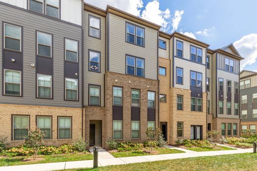 Daire Sterling, Loudoun County