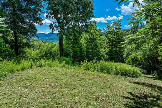 地皮  Black Mountain, Buncombe County